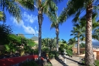 Schn eingewachsener Garten mit groem Palmenbestand