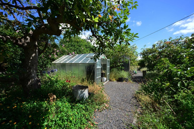 Gewchshaus