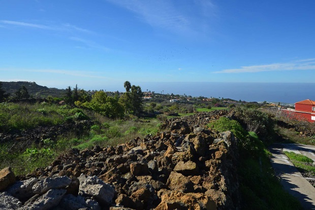 Blick ber das Grundstck nach Westen