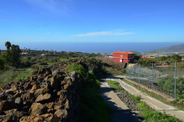 Blick ber das Grundstck nach Westen