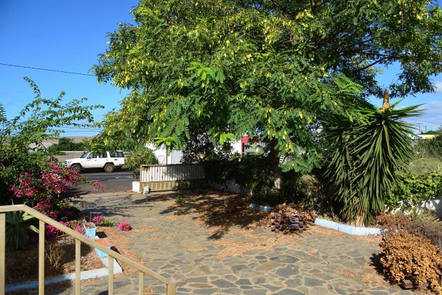 Garten/Terrasse