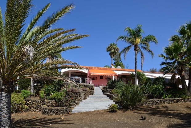 Garten, alter Baum- und Palmenbestand
