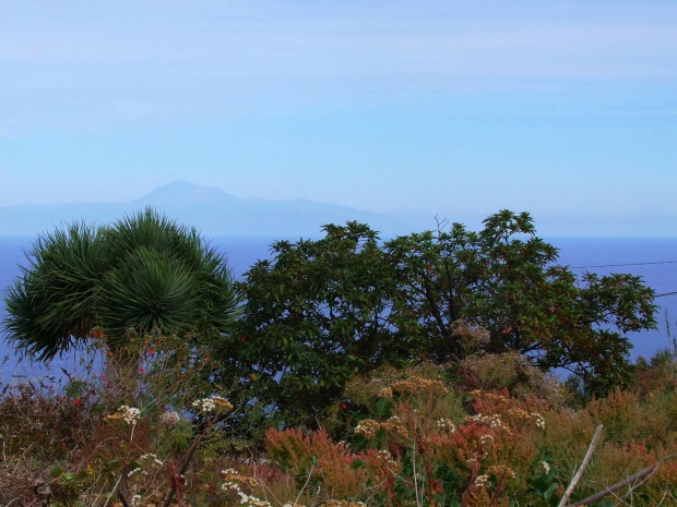 Blick auf den Teide