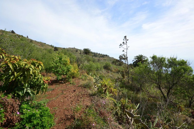 Groer Garten