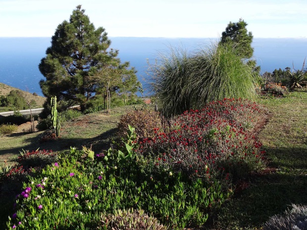 Liebevoll angelegter Garten