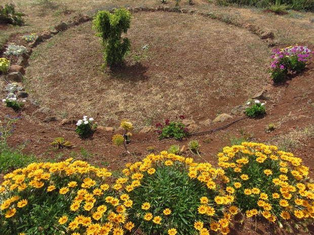 Liebevoll angelegter Garten