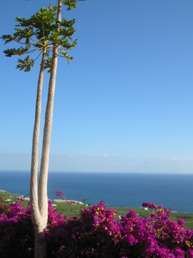 Herrlicher Meerblick