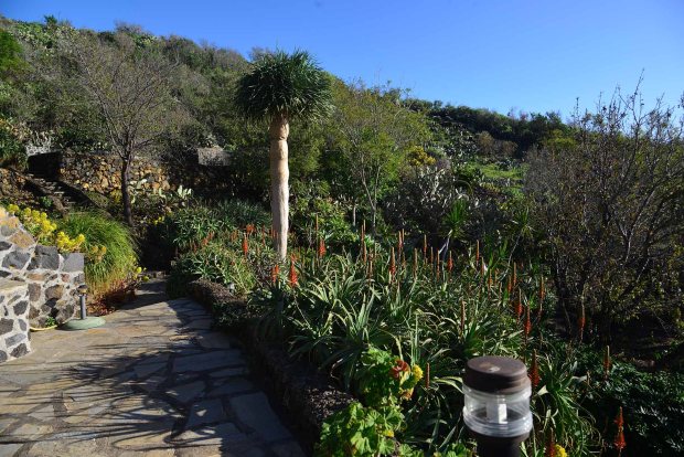 Sch�n angelegter Garten