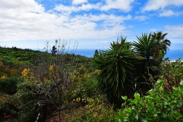 Sch�n angelegter Au�enbereich