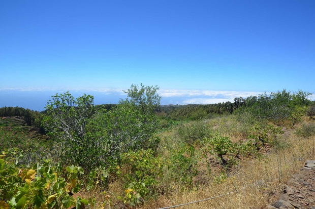 Blick nach Westen