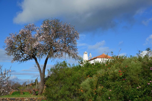 Haupthaus Ansicht von Sdwesten