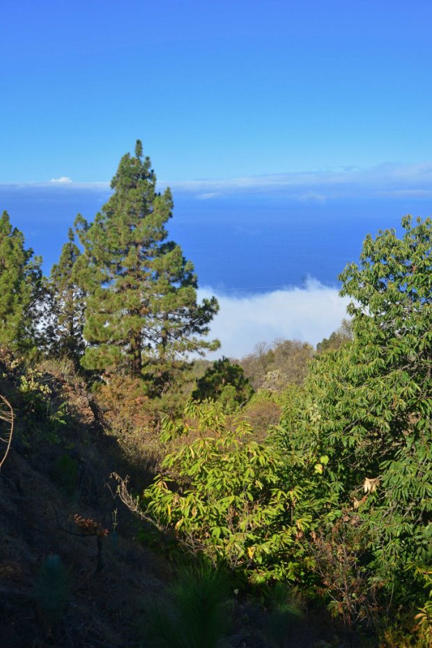 Blick nach Nordwesten