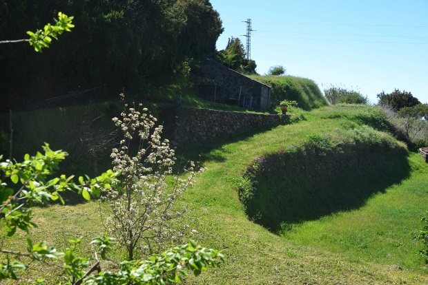 Weitlufiger Garten