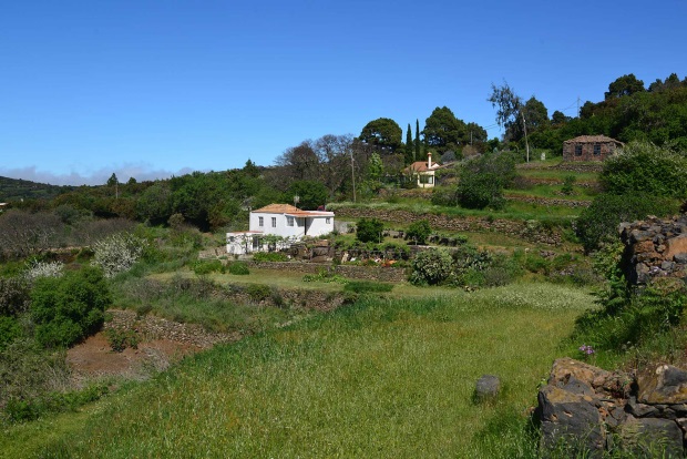 Weitlufiger Garten