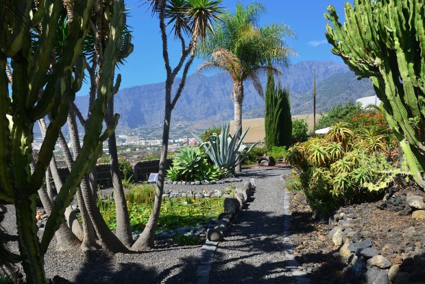 Gut angelegte Gartenwege auf dem gesamten Grundstck