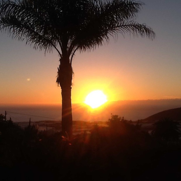 Die Westterrasse - der ideale Platz fr den Sundowner