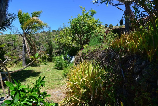 Gut eingewachsener Garten