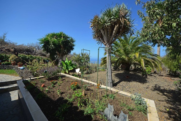 Gemsegarten