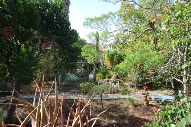 Schn eingewachsener Garten