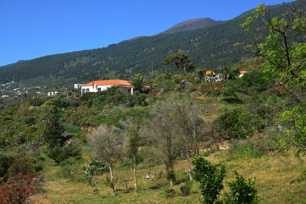 Blick vom Garten auf das Haupthaus, das Gstehaus und den Schuppen