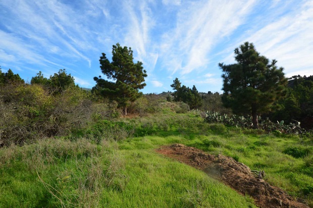 Sdlciher Barranco, Blick nach Osten