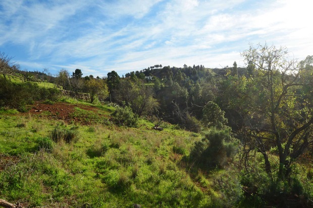 Sdlicher Barranco, Blick nach Osten