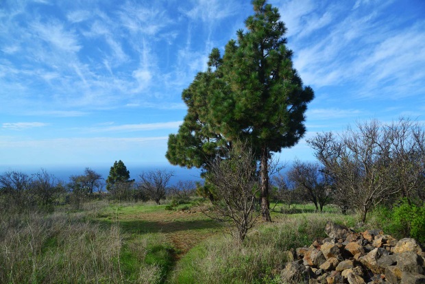 Bebaubare Flche, Blick nach Nordwesten