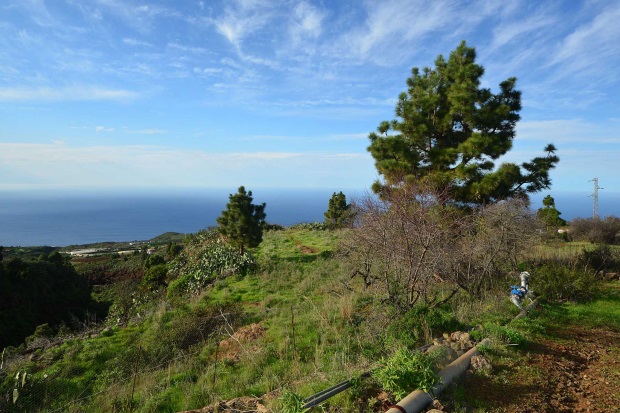 Bebaubare Flche, Blick nach Nordwesten