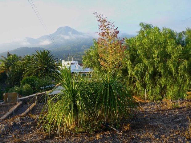 Blick ber den Garten aus Sden