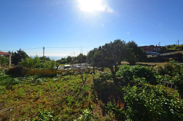 Garten mit Meerblick