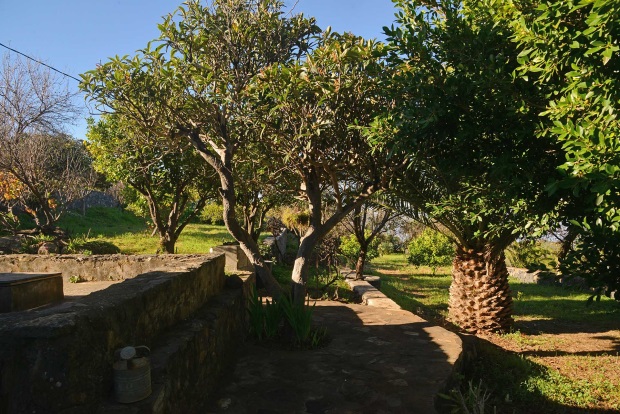 Schn eingewachsener Garten