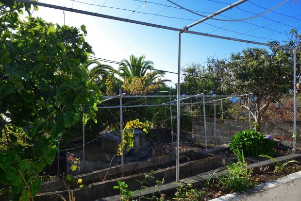 Garten mit Zisterne (nicht mehr in Benutzung)