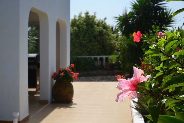 Westterrasse