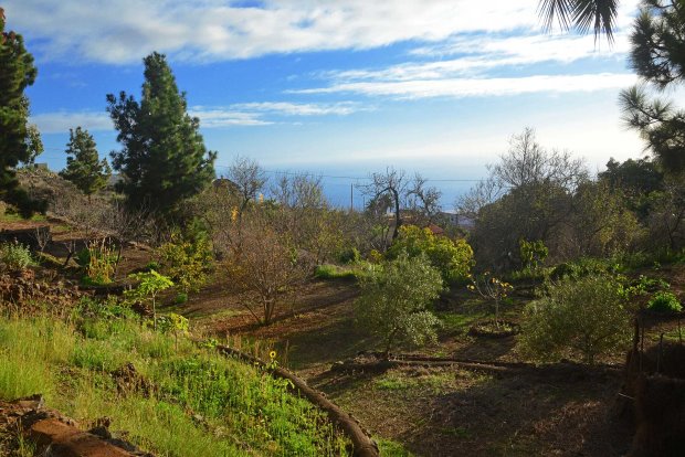 Garten mit herrlichem Meerblick