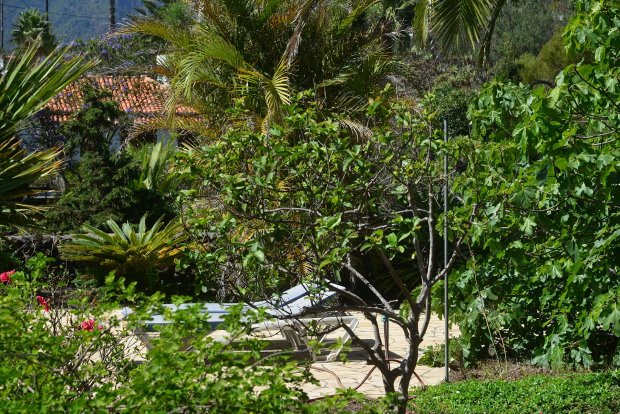 Separate Sonnenterrasse im Garten