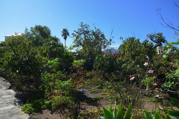 Schn angelegter Garten mit altem Baumbestand