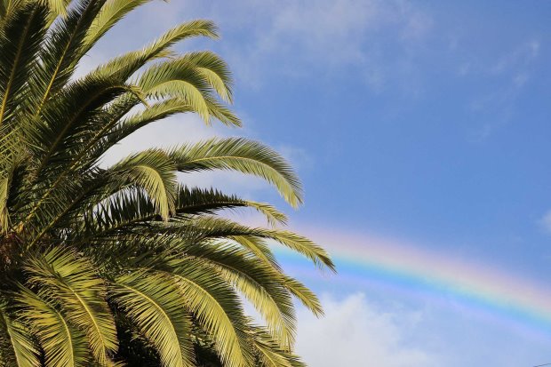 Hin und wieder auch ein wunderbarer Regenbogen