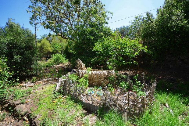 kologischer Landbau