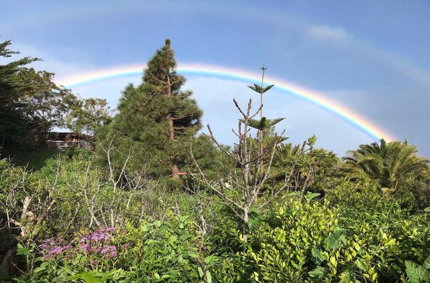  und hin und wieder fantastische Regenbgen