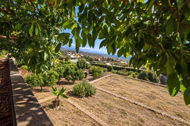 Blick auf den ehemaligen Hausgarten f�r die Selbstversorgung mit Gem�se
