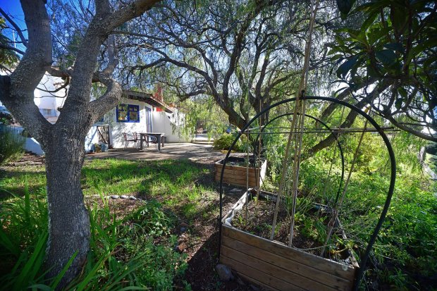 Kleiner Gem�segarten nahe der K�che