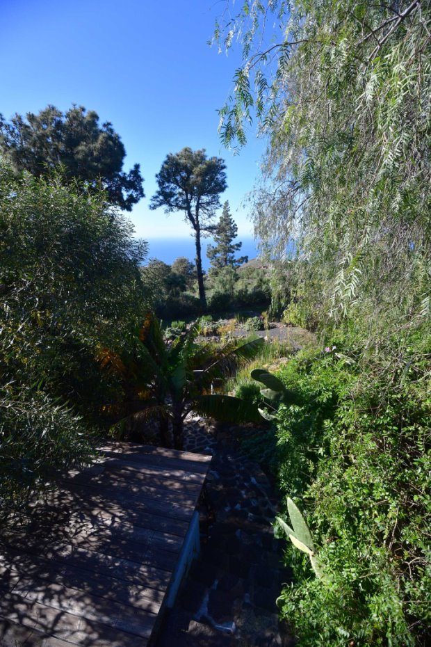 Sch�n eingewachsener Garten