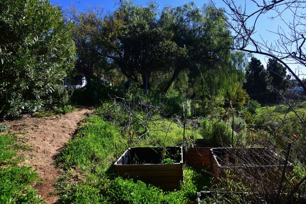 Sch�n eingewachsener Garten