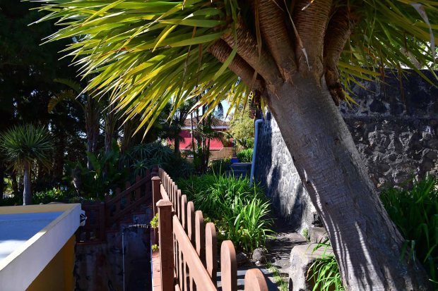 Drachenbaum, Wassertank f�r Gartenbew�sserung