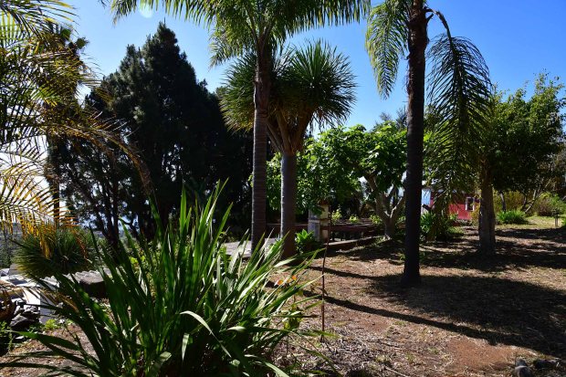 Sehr sch�n angelegter Garten