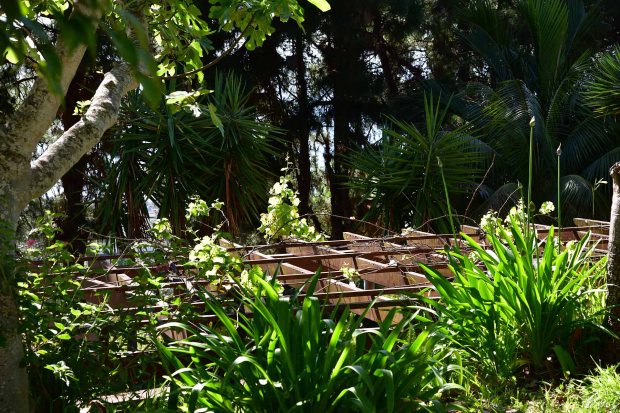 Sehr sch�n angelegter Garten