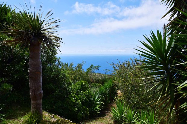 Wundervoller Atlantik- und Naturblick