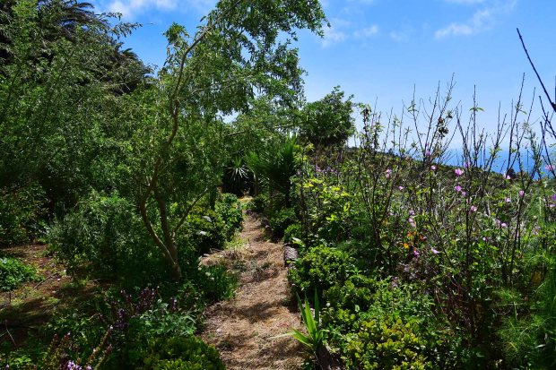 Gartenbereich f�r Nutzpflanzen � wenn Sie m�chten