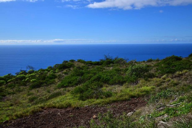 Wundervolle Aussichten