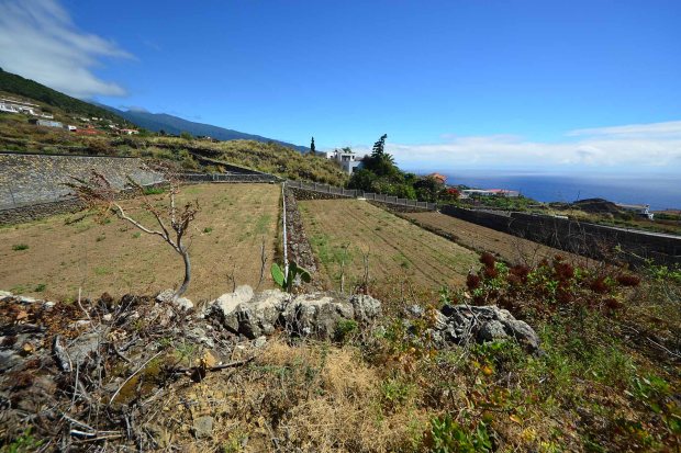 Reichlich Anbauflchen mit sehr gutem Boden